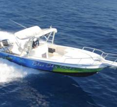 Blue-Marlin-–-31-Foot-Intrepid-Express-3