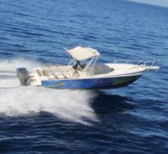 Blue-Marlin-–-31-Foot-Intrepid-Express-4