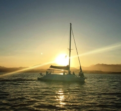 Albatros Catamaran Puerto Los Cabo