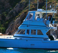 Cabo Sportfishing