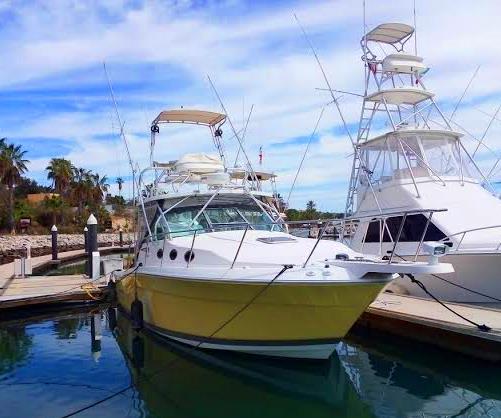 Split Decision Boat Puerto Los Cabos