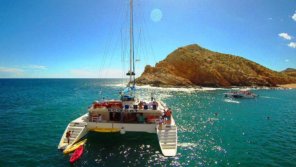 ecocat catamaran tours cabo san lucas