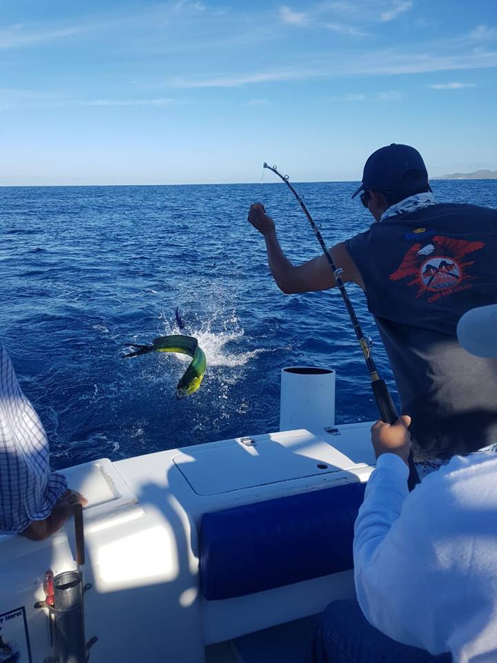 29ft Bite Me Cabo San Lucas