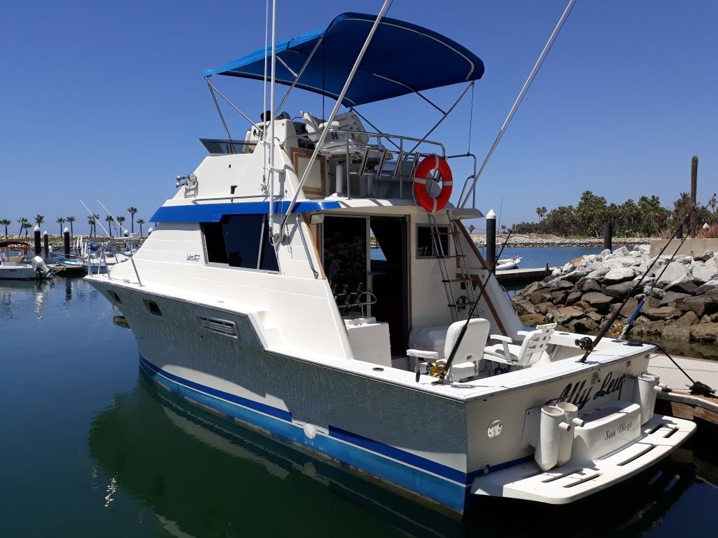 Ally Lew Yacht Puerto Los Cabos