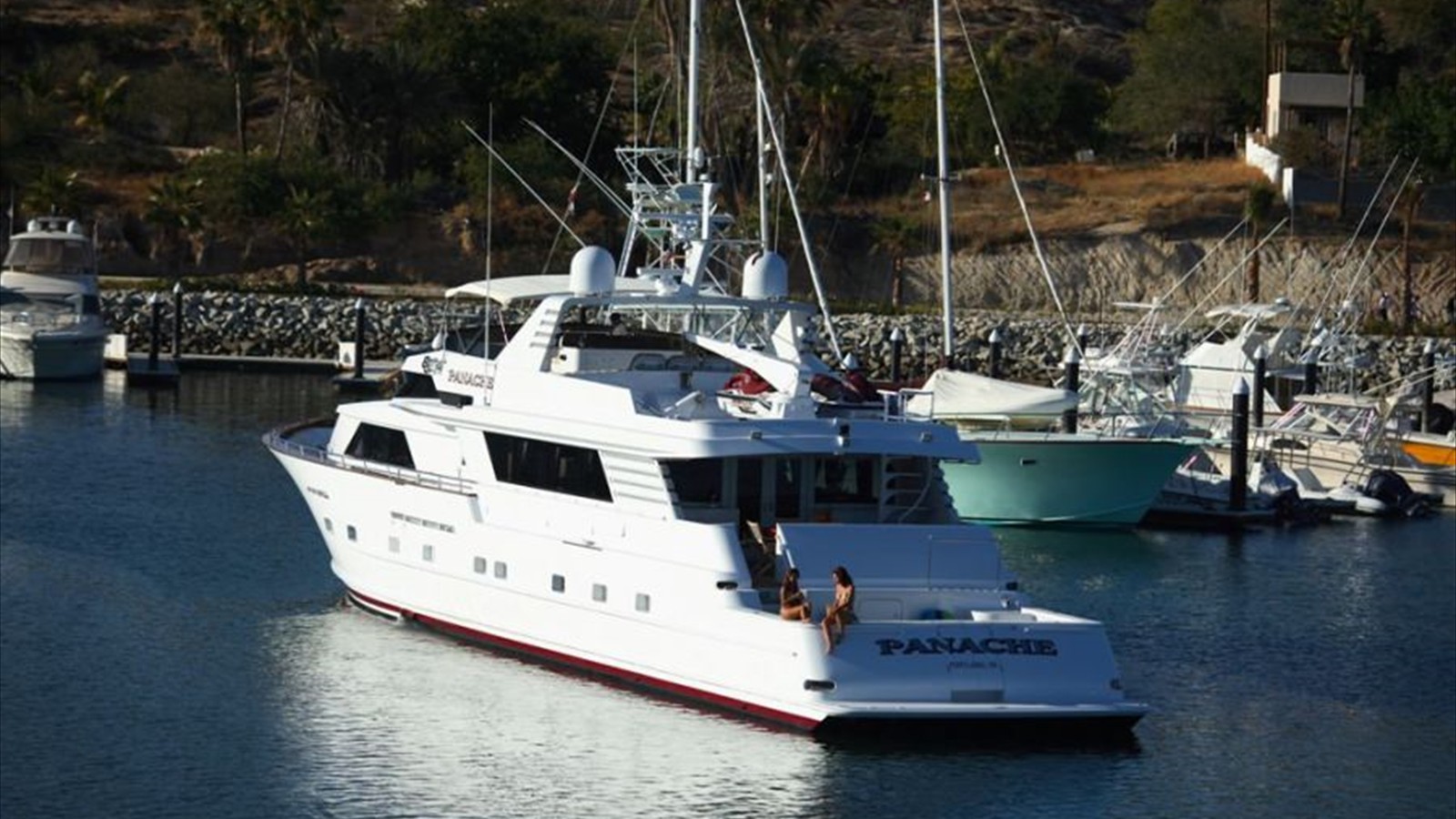 Charters Inside the Sea of Cortez